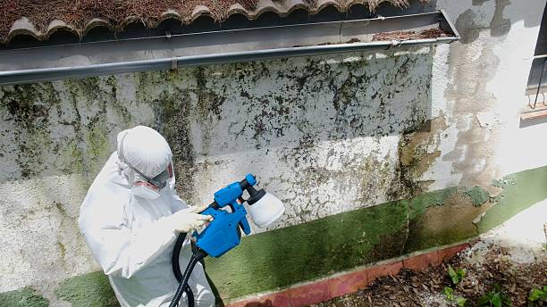 Top rated local Mold Remediation specialists in Danville, PA
